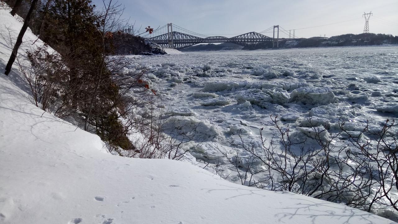 Gite Au Gre Du Vent Ciudad de Quebec Exterior foto